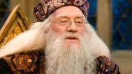 Richard Harris in the Harry Potter franchise | Image via Warner Bros. Pictures